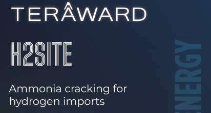 premio teraward