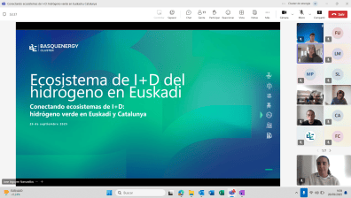Webinar